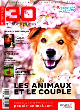 30 millions D'amis