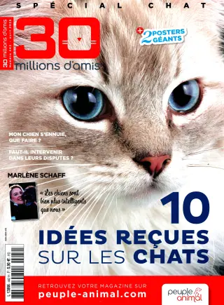 30 millions D'amis