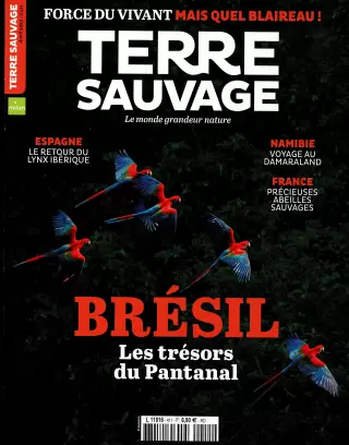 Subscription Terre sauvage