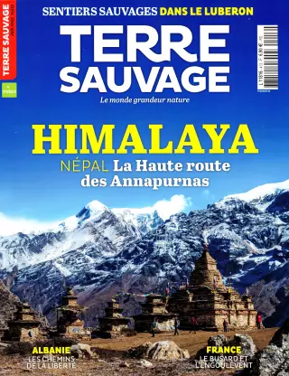 Subscription Terre sauvage