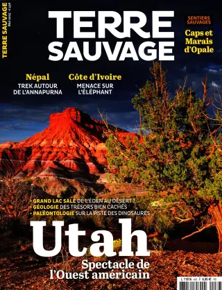 Subscription Terre sauvage