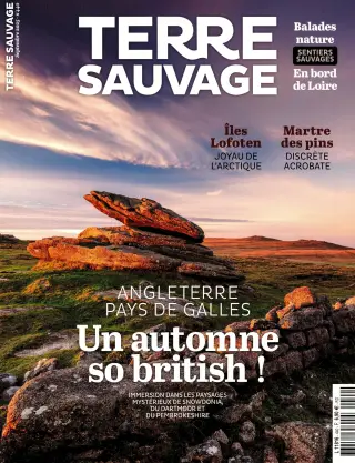 Subscription Terre sauvage