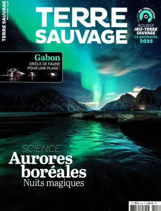 Subscription Terre sauvage