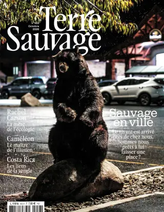 Subscription Terre sauvage