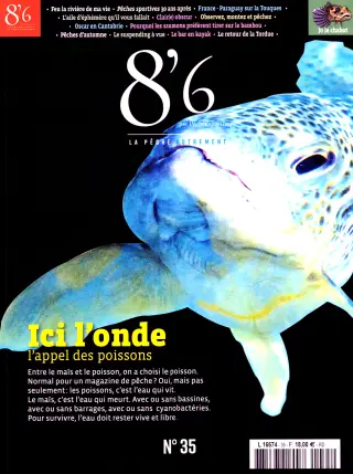 8’6 by Pêches Sportives
